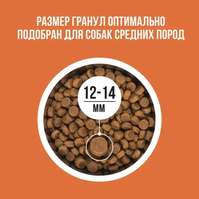 Bowl Wow 0,8кг ягненок, индейка с рисом и морковью сухой для собак средних пород  (661764) фото