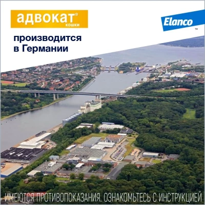 Адвокат капли (3пип х 0,8мл) от чесоточных клещей, блох и гельминтов для кошек более 4кг (ЛИЦЕНЗИЯ) фото