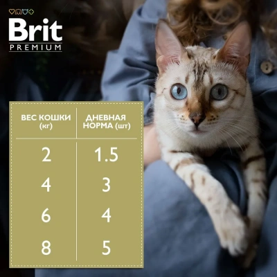 Brit Premium 0,085кг форель в желе пауч для взрослых кошек (5050185) фото