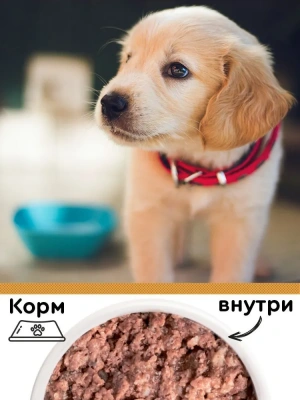 Четвероногий гурман 0,34кг Мясное ассорти с индейкой для щенков (542481) фото