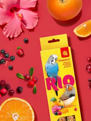 Rio палочки 0,04кг*2шт для волнистых попугайчиков и экзотов Витамин С, 80г  фото