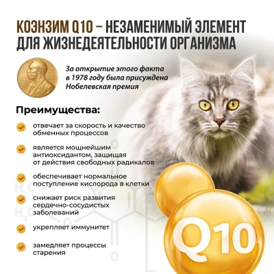 Unitabs 120таб./0,06кг витаминно-минеральная добавка BiotinPlus Q10 биотин + таурин для кожи и шерсти для кошек фото