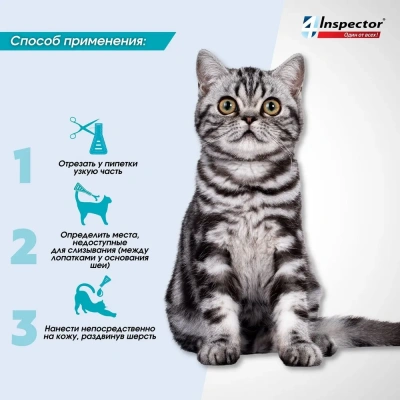 Inspector Quadro К (3пип) капли от блох, клещей и глистов для кошек от 4 до 8кг (ЛИЦЕНЗИЯ) фото