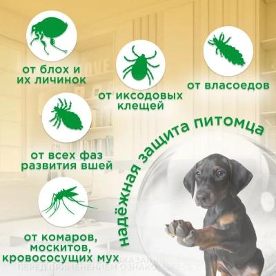 Protecto Neoterica капли для собак 10-25КГ 2ШТ P303(ЛИЦЕНЗИЯ)  фото
