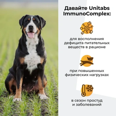 Unitabs 100таб/0,15кг витаминно-минеральная добавка ImmunoComplex Q10 для иммунитета для крупных собак фото