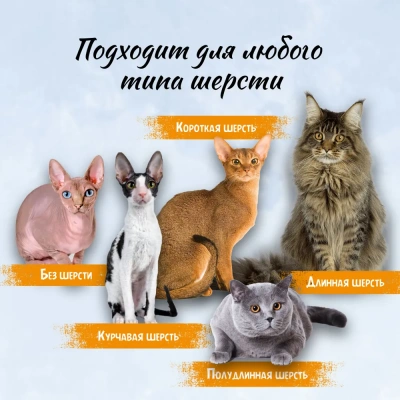 Кондиционер (ТерриториЯ) Рассвет над Домбаем Восстанавливающий для кошек, 150 мл фото
