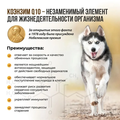 Unitabs 100таб./0,075кг витаминно-минеральная добавка ImmunoComplex  Q10 для иммунитета для мелких собак фото