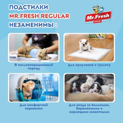 Пеленки (Mr.Fresh) Expert Regular для ежедневного применения (60*90) 16 шт фото