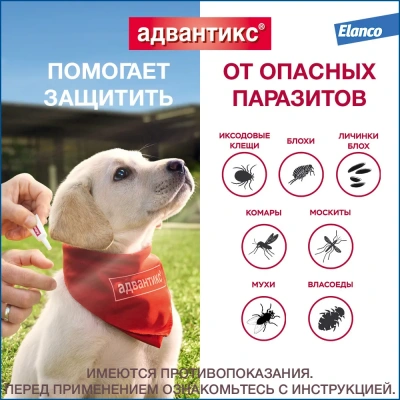 Адвантикс капли (4пип х 4мл) против паразитов для собак более 25кг (ЛИЦЕНЗИЯ) фото