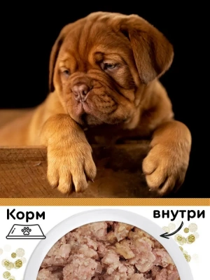 Четвероногий гурман 0,1кг Golden Line Цыпленок с кроликом в желе для щенков (546984) фото