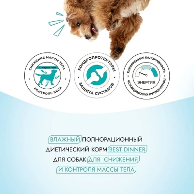 Best Dinner Vet Profi Obesity 0,1кг лосось консервы для собак (407064) фото