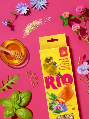 Rio 0,04кг*2шт палочки для канареек с медом и полезными семенами фото