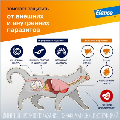 Адвокат капли (1пип) для кошек более 4кг от чесоточных клещей, блох и гельминтов (ЛИЦЕНЗИЯ) фото