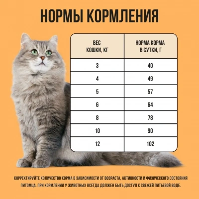 Bowl Wow 4кг с индейкой и тыквой сухой для кошек с чувствительным пищеварением (660194) фото