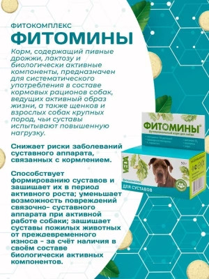 Фитомины 0,05кг для суставов собак фото