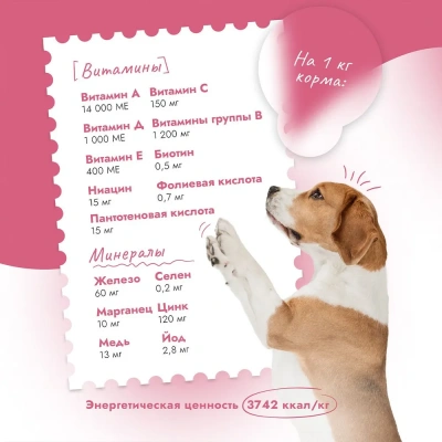 Best Dinner Dog Adult Medium/Maxi 3кг телятина с тыквой сухой для собак крупных и средних пород (402090) фото
