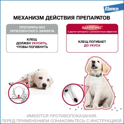 Адвантикс капли (4пип х 4мл) против паразитов для собак более 25кг (ЛИЦЕНЗИЯ) фото