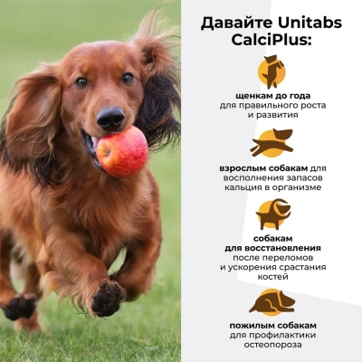 Unitabs 100таб./0,15кг витаминно-минеральная добавка CalciPlus Q10 с кальцием и витамином Д3 для собак фото