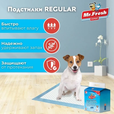 Пеленки (Mr.Fresh) Regular для ежедневного применения (60*60) 24 шт. фото
