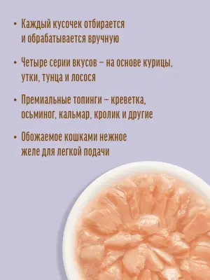 Деревенские лакомства Домашние обеды 0,07кг Филейный лосось в нежном желе для кошек (79218916) New фото