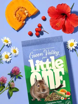 Little One 0,75кг Зеленая долина корм из разнотравья для дегу фото
