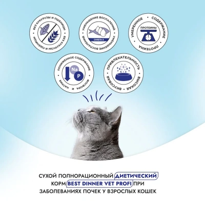 Best Dinner Vet Profi Renal 0,4кг сухой при острой или хронической болезни почек у взрослых кошек (406326) фото