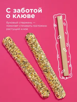 Rio 0,04кг*2шт палочки для канареек с медом и полезными семенами фото