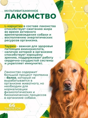 Triol 0,033кг лакомство мультивитаминное  Активная жизнь для собак фото