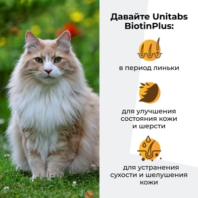Unitabs 120таб./0,06кг витаминно-минеральная добавка BiotinPlus Q10 биотин + таурин для кожи и шерсти для кошек фото