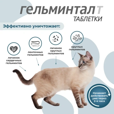 Гельминтал таблетки для кошек и котят до 4кг (26) (ЛИЦЕНЗИЯ) фото