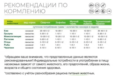 Онто (Onto) 0,04кг Зофобас консервированный фото