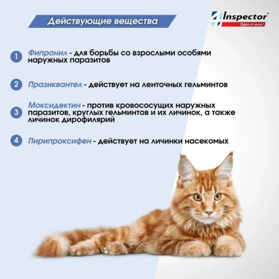 Inspector Quadro К (3пип) капли от блох, клещей и глистов для кошек от 1 до 4кг (ЛИЦЕНЗИЯ) фото
