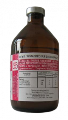 Лептоспироза животных поливалентная КРС 2 вариант  вакцина 10доз/100мл