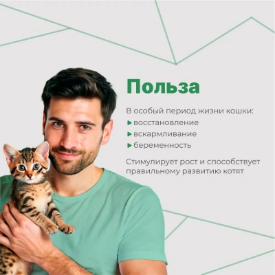 Комплекс (GlobalVet) мультивитаминный для беременных и кормящих кошек и котят 120 таб. фото