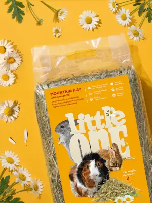 Сено (Little One) Горное с ромашкой 0,4кг для грызунов фото