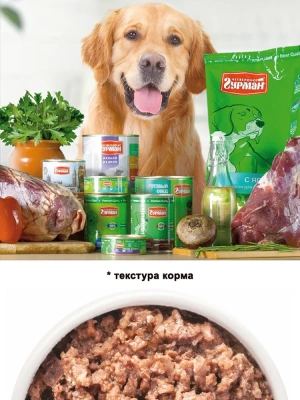 Четвероногий гурман 0,1кг Мясное ассорти с рубцом консервы для собак фото