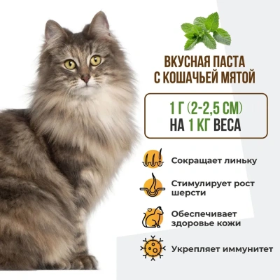 Unitabs 0,12л витаминная паста BiotinPlus с биотином и таурином для шерсти кошек фото