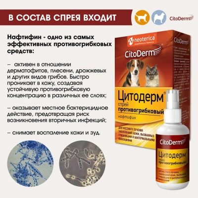 Спрей (CitoDerm) противогрибковый+ 50мл (ЛИЦЕНЗИЯ) фото