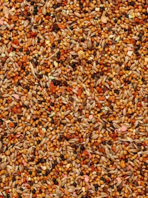 Микимилс (Mikimeals) 0,8кг корм для канареек фото