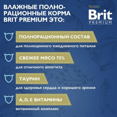 Brit Premium 0,085кг форель в желе пауч для взрослых кошек (5050185) фото