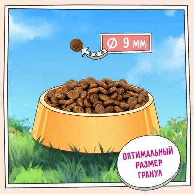 ZILLII (Зилли) Cat Urinary Care 2кг индейка сухой для домашних кошек (352222) фото