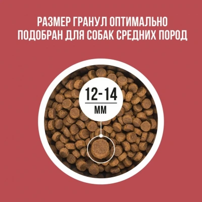 Bowl Wow 5кг индейка, курица с рисом и свеклой сухой для собак средних пород (660729) фото