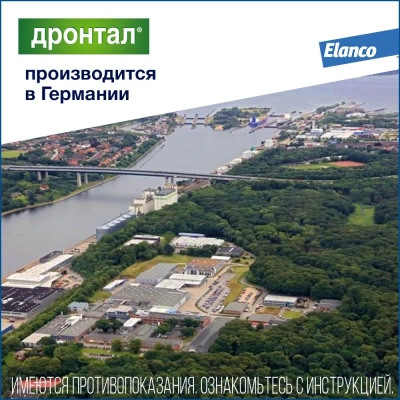 Дронтал 2таб. антигельминтик для кошек, 1таб./4кг (ЛИЦЕНЗИЯ) фото