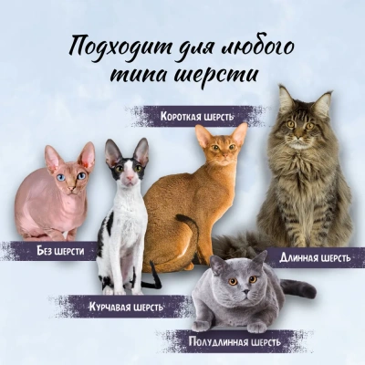Спрей (ТерриториЯ) Волны и ветер для лёгкого расчёсывания, 250 мл фото