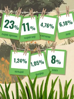 Счастливый пес 10кг индейка сухой для собак всех пород (550342)  фото
