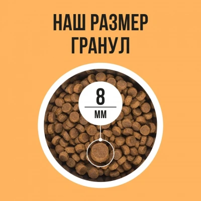 Bowl Wow 4кг с индейкой и тыквой сухой для кошек с чувствительным пищеварением (660194) фото