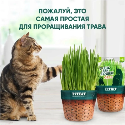 TiTBiT 0,06кг трава для кошек овес фото