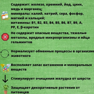 Травка (Четыре с хвостиком) 0,1кг для кошек (лоток) фото