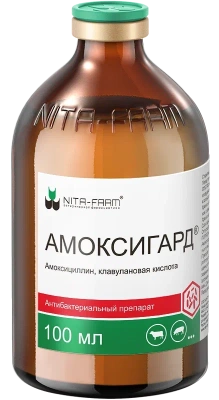 Амоксигард 100мл (фокусный) (ЛИЦЕНЗИЯ)