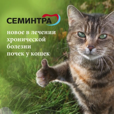 Семинтра (Merial) 4 мг/мл раствор для перорорального применения 30мл (ЛИЦЕНЗИЯ) фото